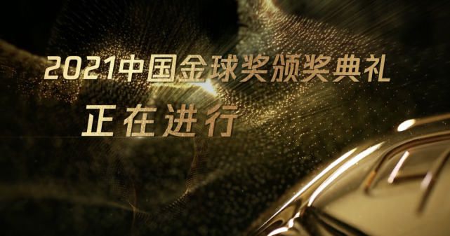 年轻的嫂子3