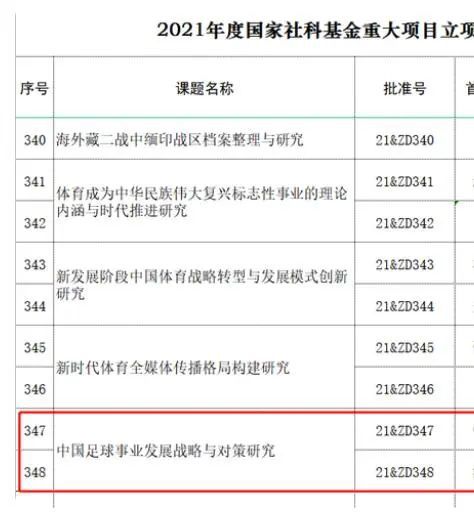 门外汉的偷窥