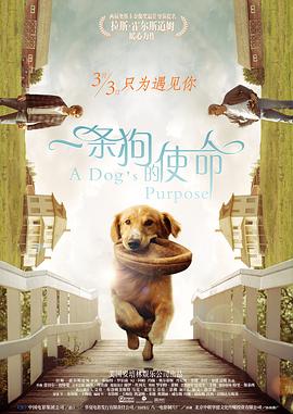 高潮h