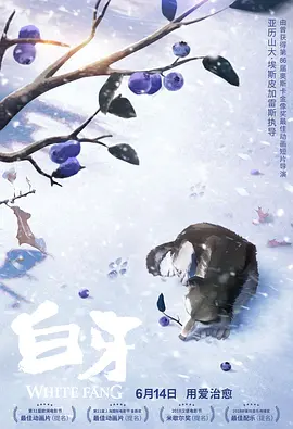 的九一视频入口在线观看