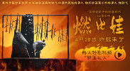 午夜小视频在线播放