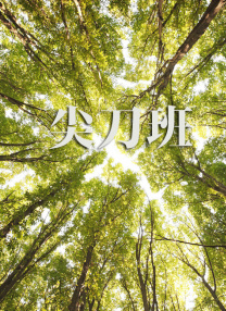 夜晚的聚会