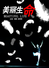 欧美在线播放一区