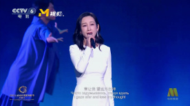 伦理片午夜视频在线观看免费