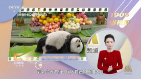 又疼又叫打扑克